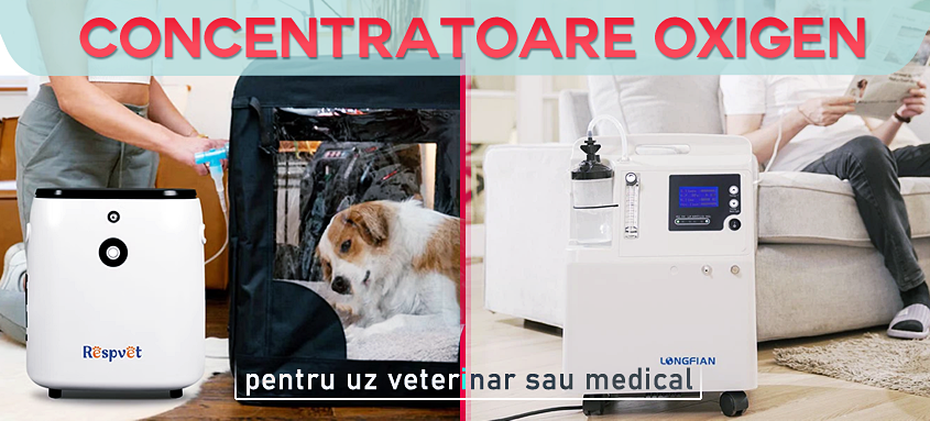 Offer Banner
